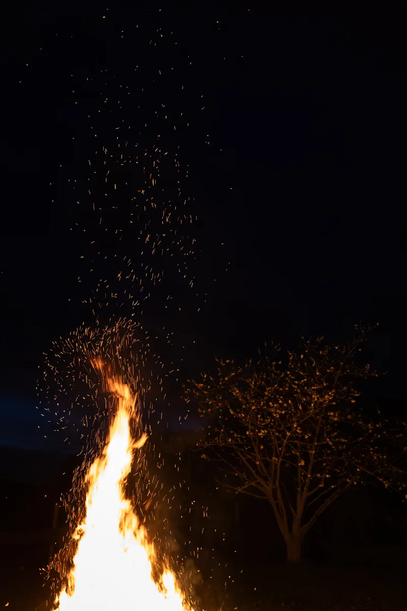 Hohe Flamme mit sprühenden Funken in der Nacht, daneben ein blühender Baum